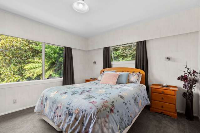 11 Crisp Avenue Pukekohe_4