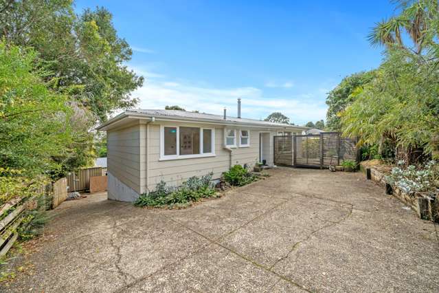 184 Don Buck Road Massey_2
