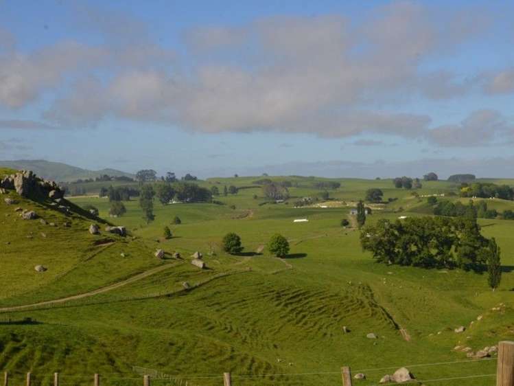 1035 Bayley Road Wharepuhunga_1