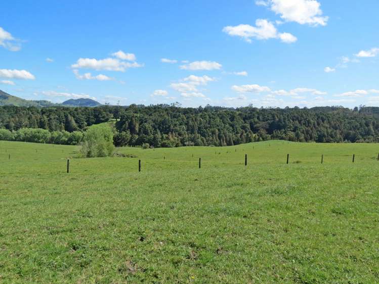 202 Knight Road Ruatangata_5