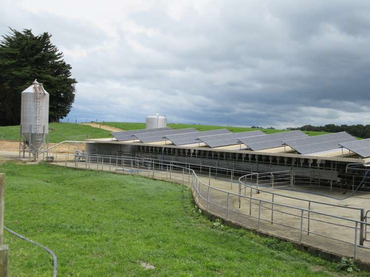 227 Whenuahou Road Norsewood_14