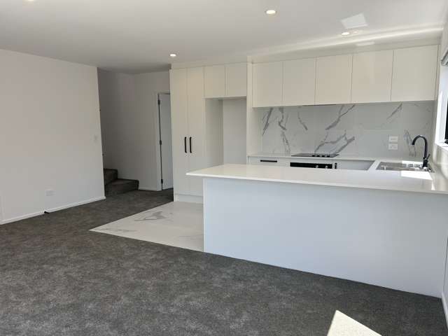 117d Edinburgh Street Spreydon_2