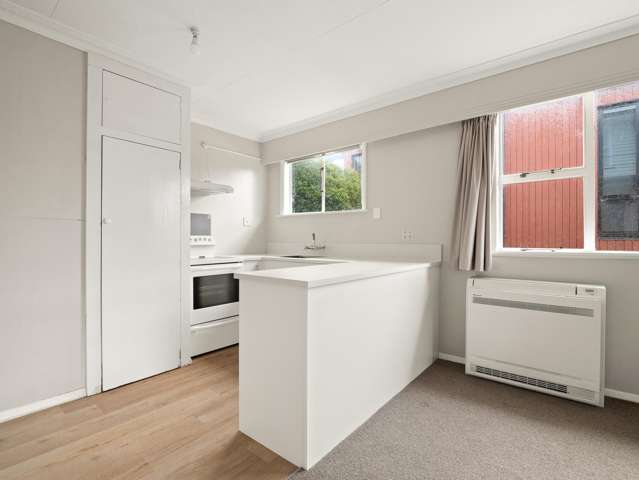 79 Arthur Street Dunedin Central_2