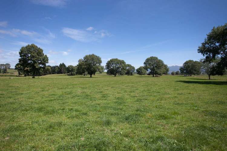 267 Frontier Road Te Awamutu_9