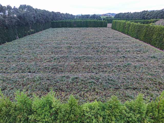 51 Ringer Road Tauwhare_3