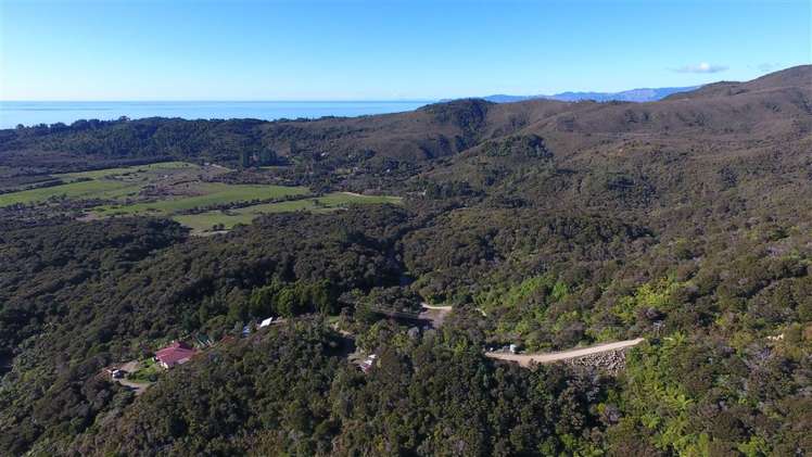 175 Parapara Valley Road Parapara_18