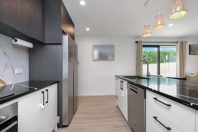 58A Ashbury Drive Tinwald_2