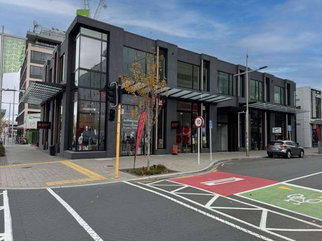 172 Cashel Street City Centre_1