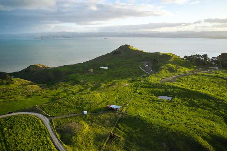 Lot 3/611 Wainui Road Wainui_21