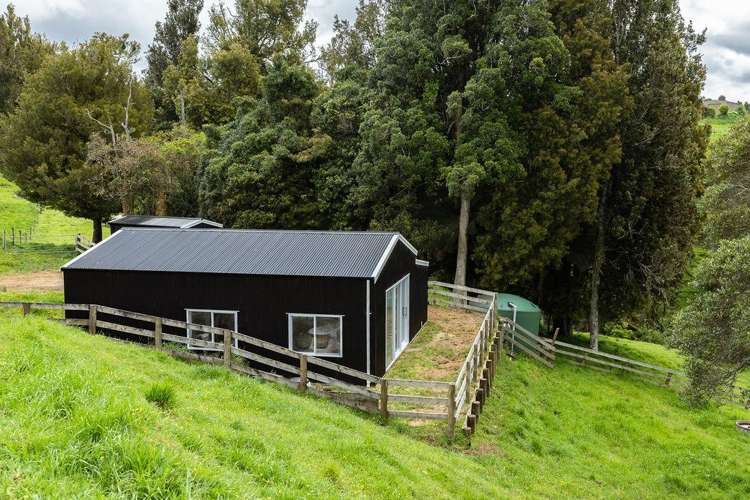 194C Pekanui Road Pirongia_25