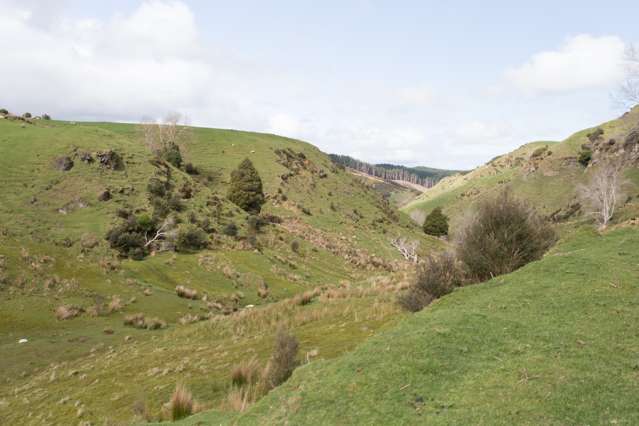 820 Rangitatau West Road Waitotara_3