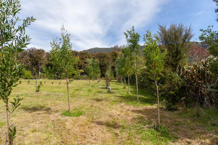 46 Onekaka Iron Works Road Kahurangi National Park_11