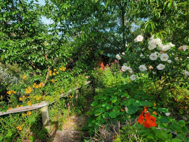 63 Brooklands Road Atawhai_31