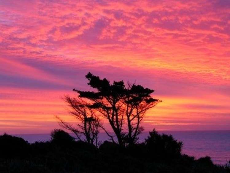 1313 State Highway 6 Nine Mile_32