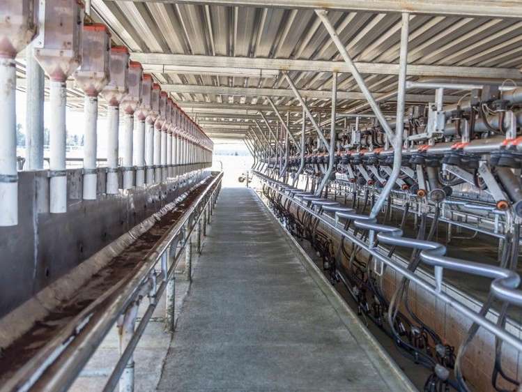 136 Mount Palm Road Rotherham_7