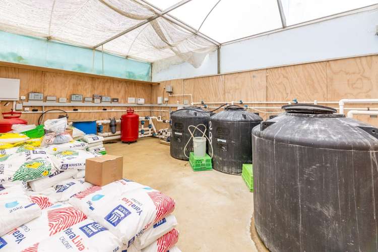 379 Razorback Road Pokeno_5