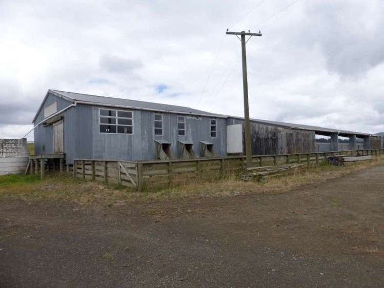 1577 Tangowahine Valley Road Dargaville Surrounds_13