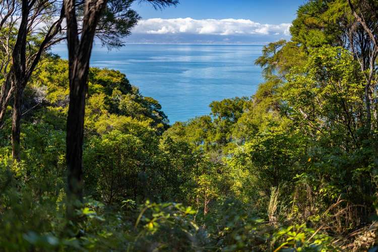 180 Tokongawa Drive Kaiteriteri_10