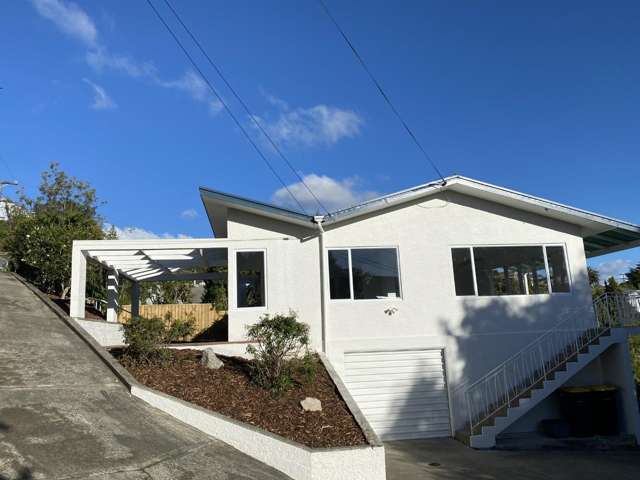 36 Chamberlain Street Tahunanui_1