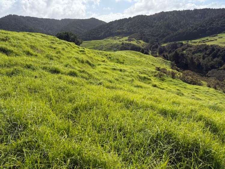 Lot 3/101 Brooklands Way Kaiwaka_12