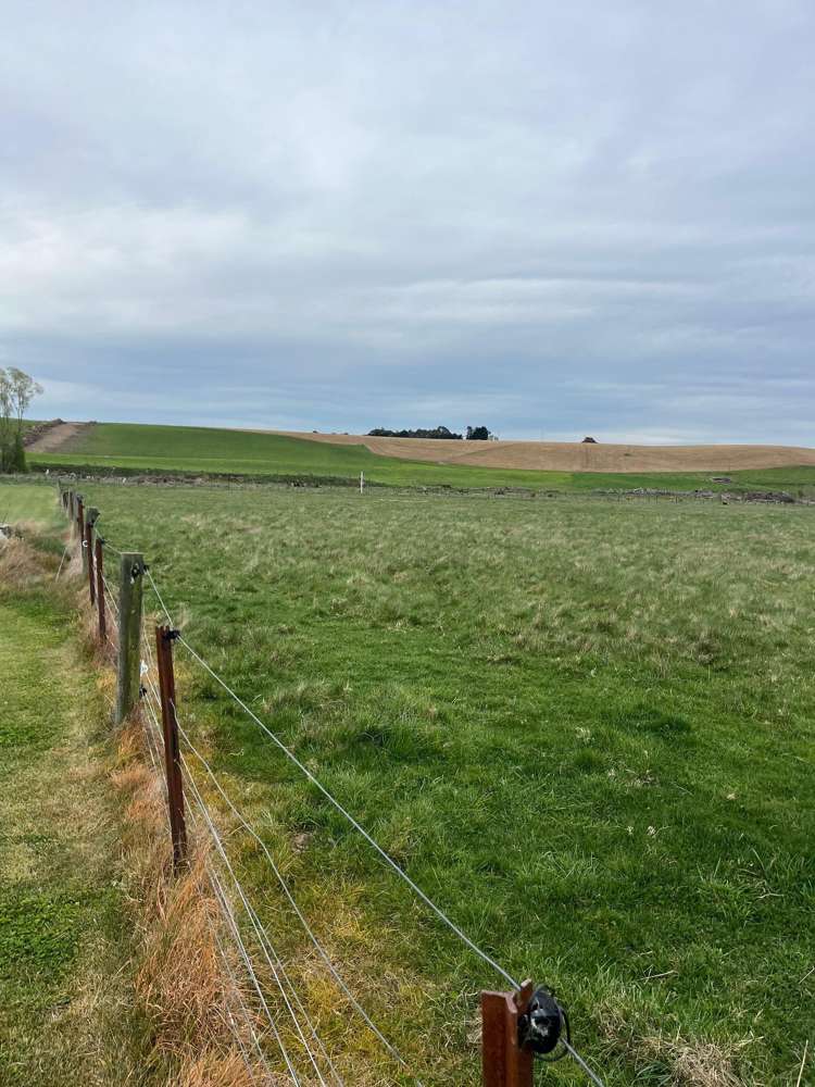 161 Waimotu Road Herbert_14