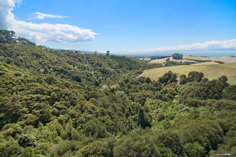 149a Rataroa Road Miranda_3