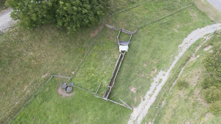 99 Homewood Drive Te Puke_8