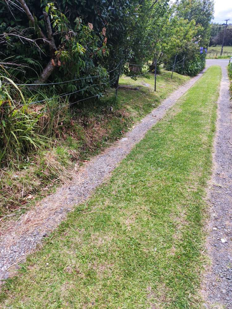 1166 Kennedy Bay Road Coromandel_13