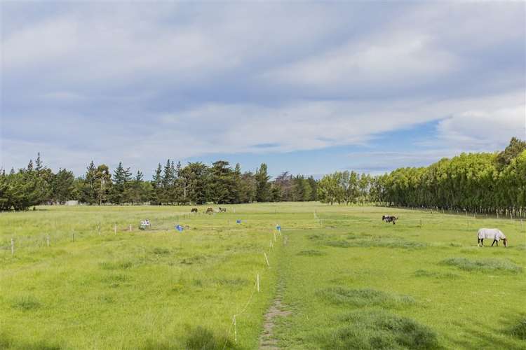 50 Mulcocks Road Flaxton_11