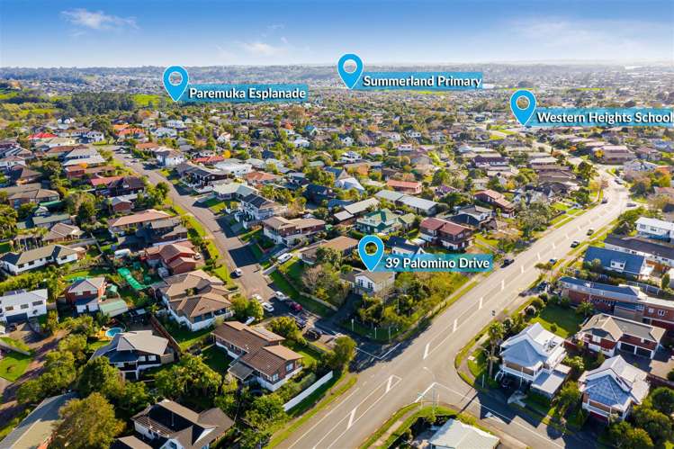 39 Palomino Drive Henderson_17