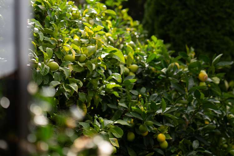 48 Wiltshire Drive Huntington_32