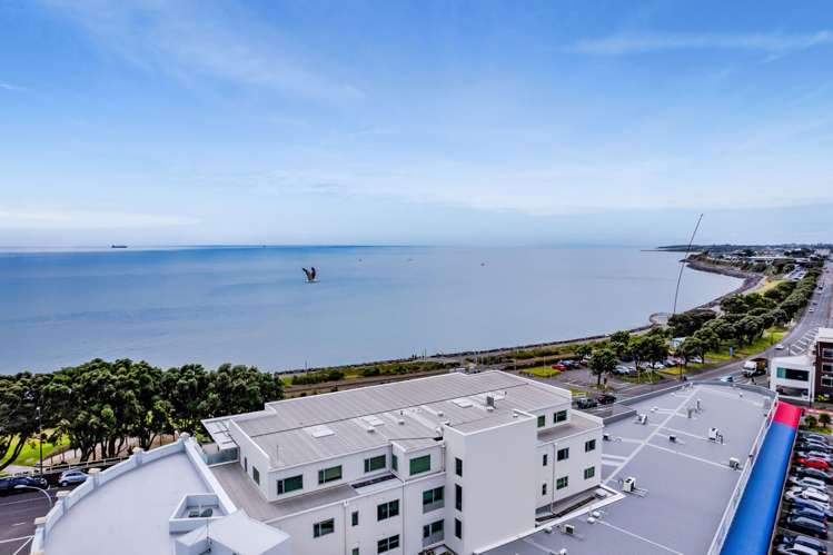 8/93 Saint Aubyn Street New Plymouth Central_20