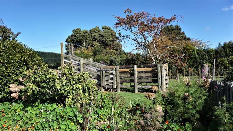 81 Denton Road Levin_23