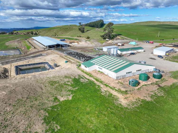 3986 Puketitiri Road Patoka_13