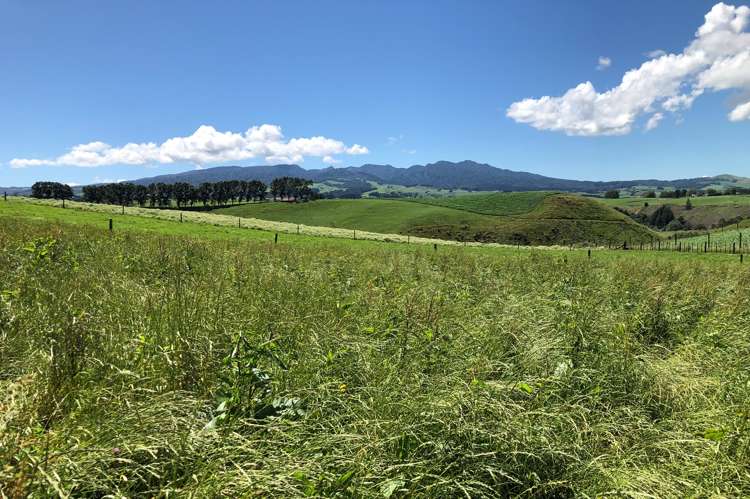 1564 State Highway 31 Kawhia Road Otorohanga_35