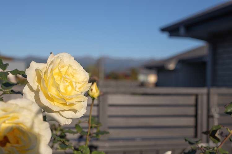 29 Barry Curtis Place Levin_17