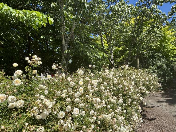 22 Walkers Road Longburn_31