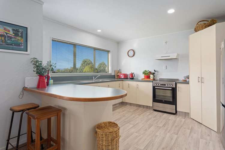 86 Grant Road Opotiki and Surrounds_10