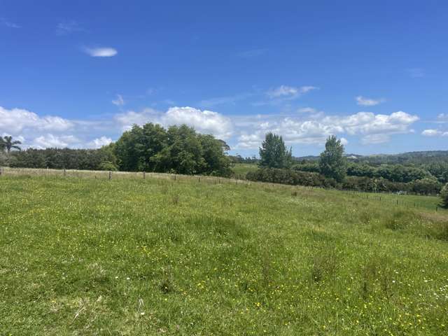 63 Follies Way Dairy Flat_1