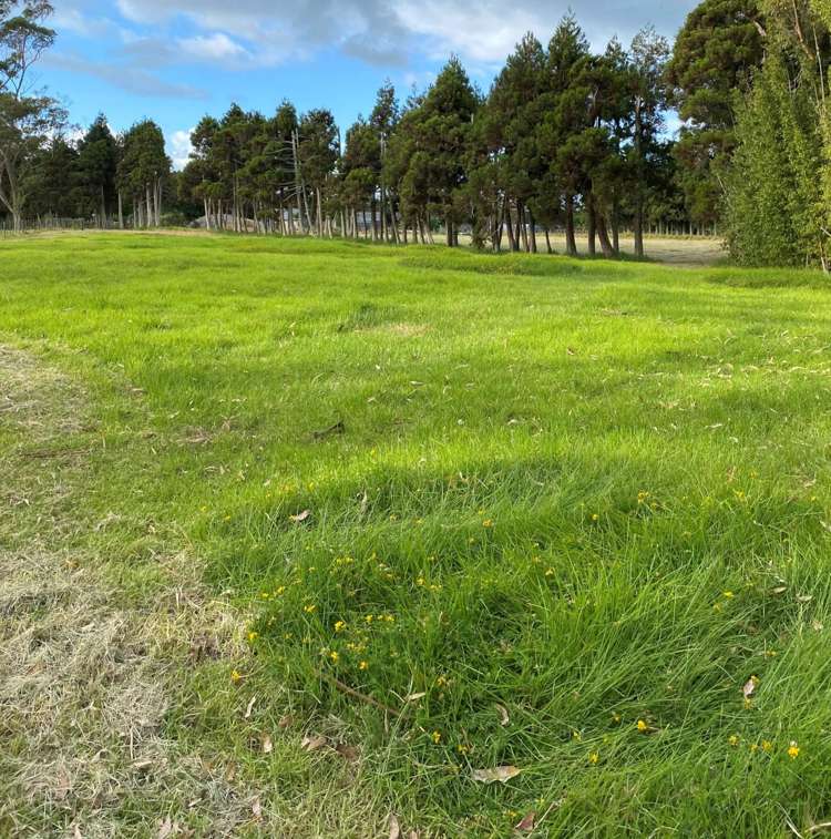 25 Rosythe Road Waipu_1