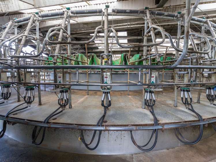 46 Mitchells Road Bankside_6