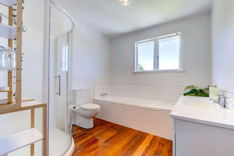 4 Albert Street Hamilton East_7