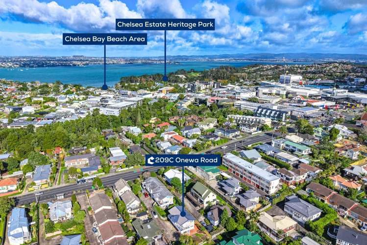 209C Onewa Road Birkenhead_15