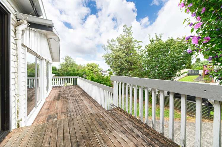 14 Laurel Street Mount Albert_22