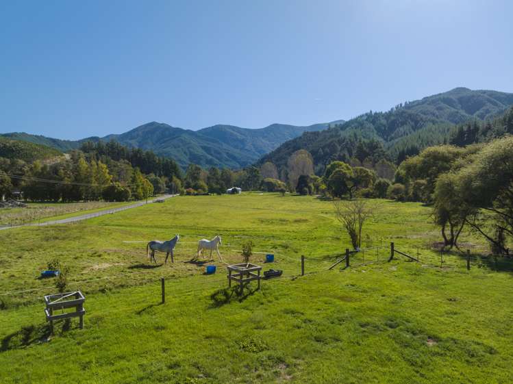 852 Onamalutu Road Wairau Valley_18