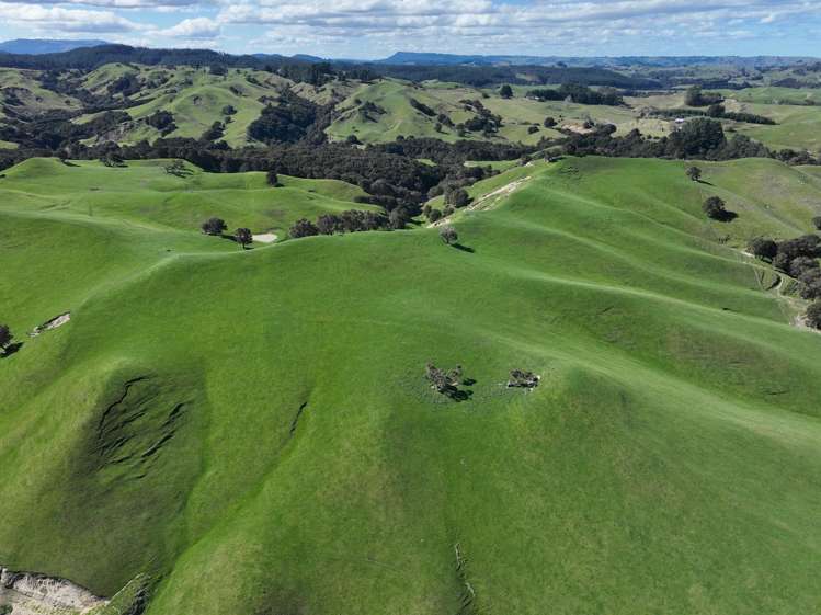 2829 Puketitiri Road Patoka_32