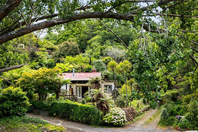 8631c State Highway 2 Waikino_13