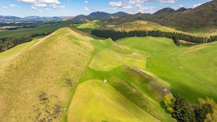 1157 The Peaks Road Hawarden_14