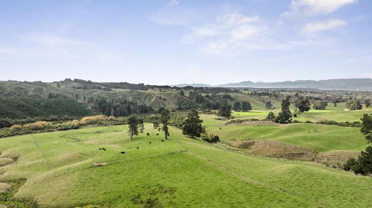 550 Redwood Valley Road Redwood Valley_19