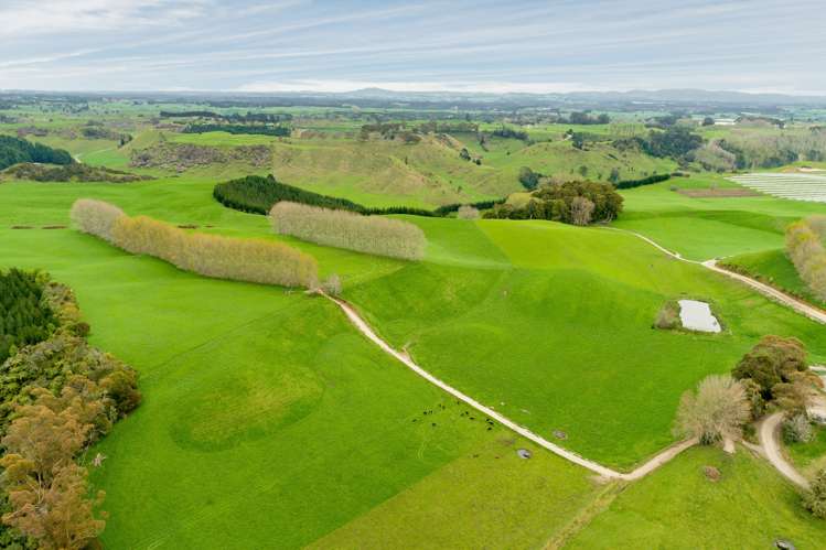 936 Pongakawa Bush Road Pongakawa_0